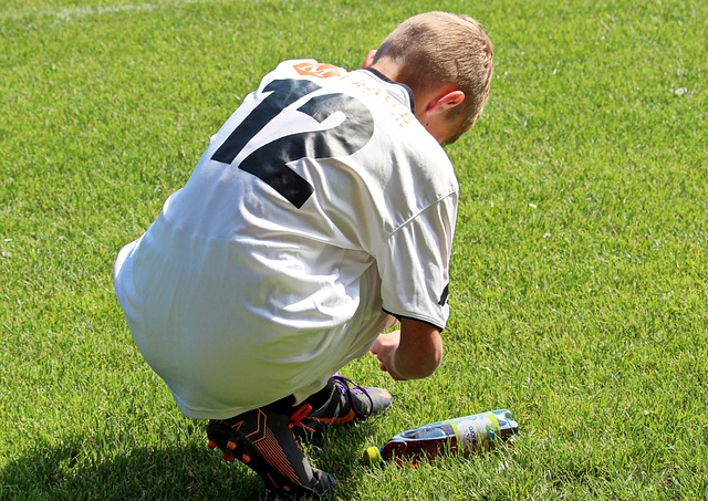 花賞花行程 花賞花行程
