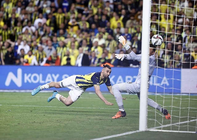 这一事件不 这一事件不