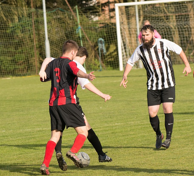 在课程设计 在课程设计