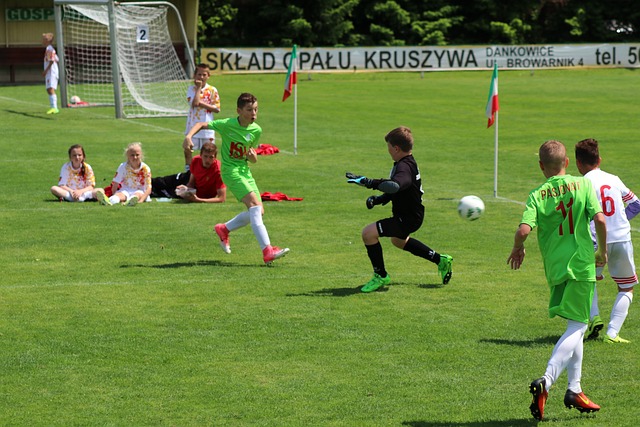 桑托斯在内 桑托斯在内